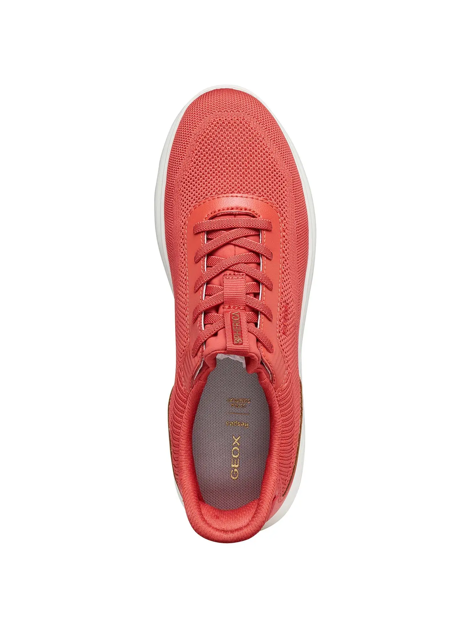 SNEAKERS DONNA - GEOX CORALLO - D557MA 06KBC - Image 5